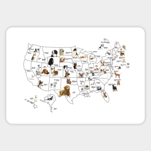 United States Dog Map Color Poster Magnet